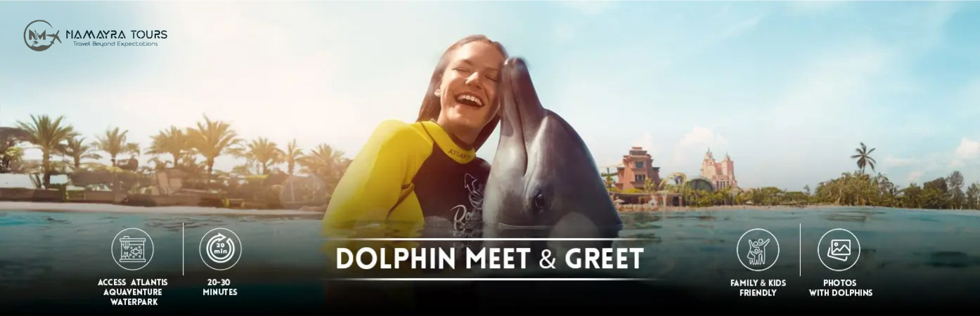 Dubai Best Dolphin Meet and Greet