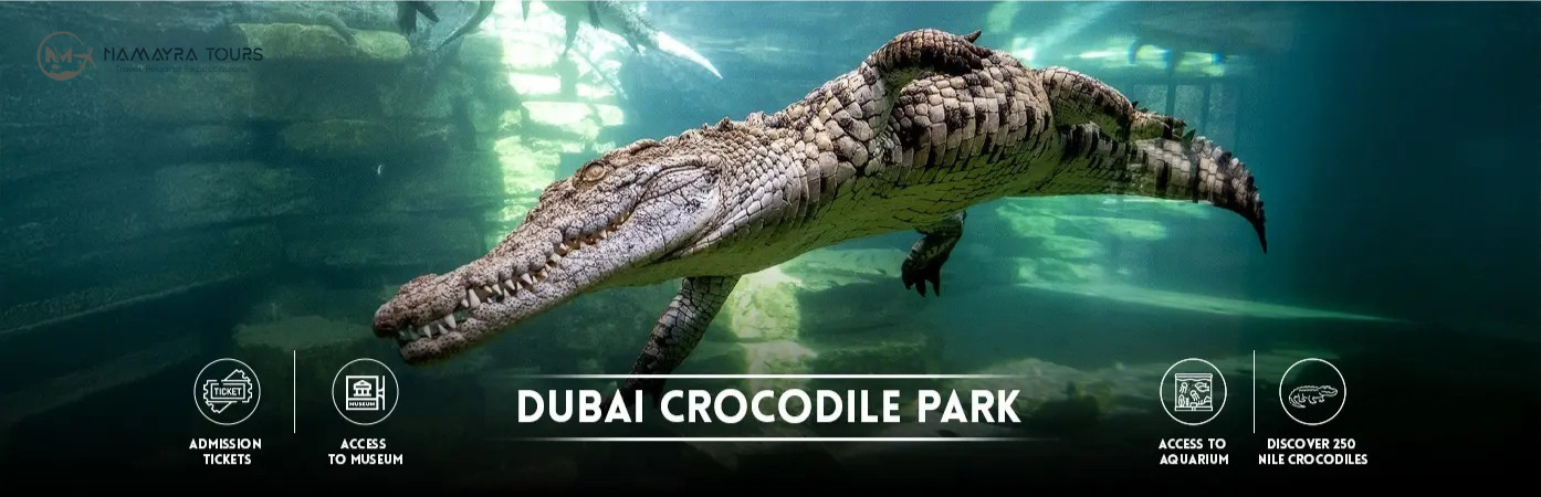Dubai Best Crocodile Park