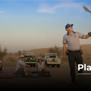 Dubai Best Platinum Desert Safari